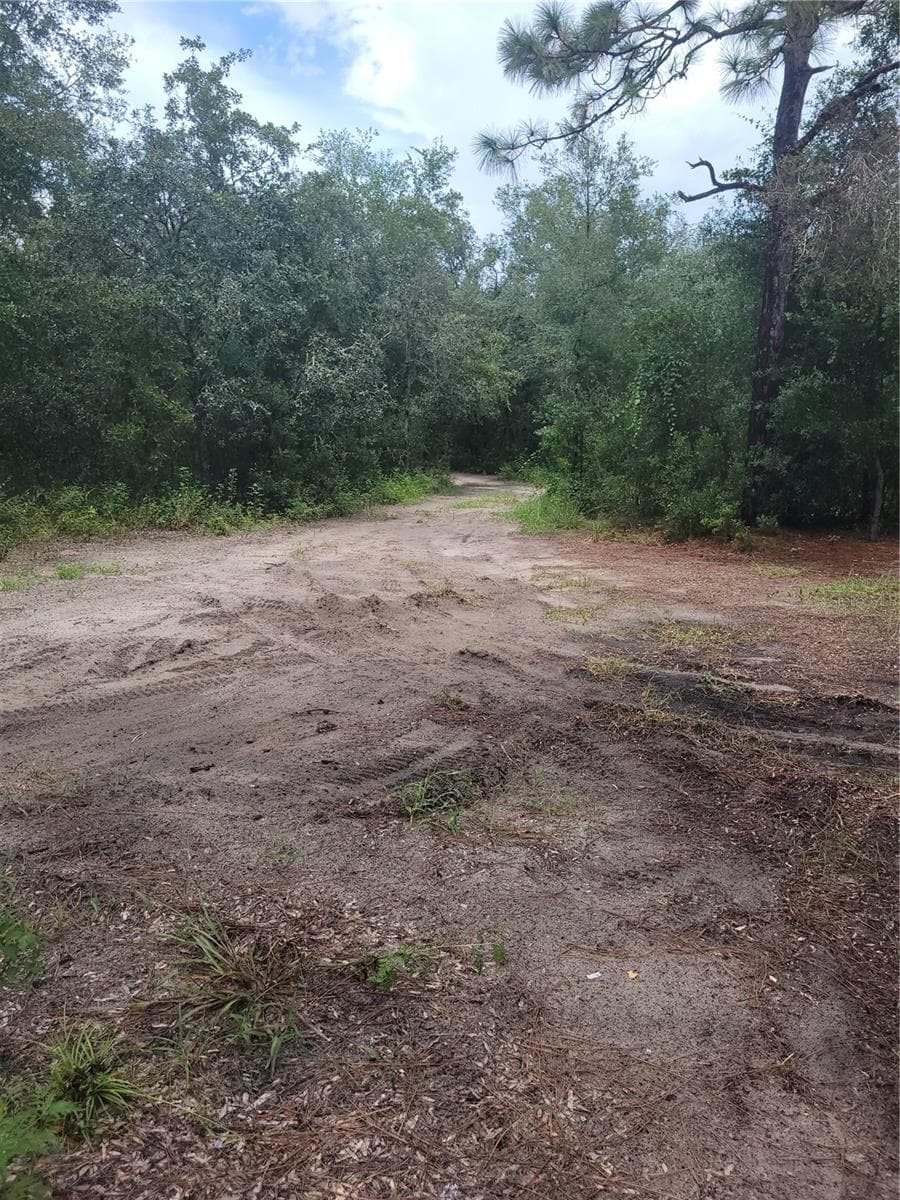 Land at 16518 HELEN K DR, SPRING HILL, photo 8 of 8