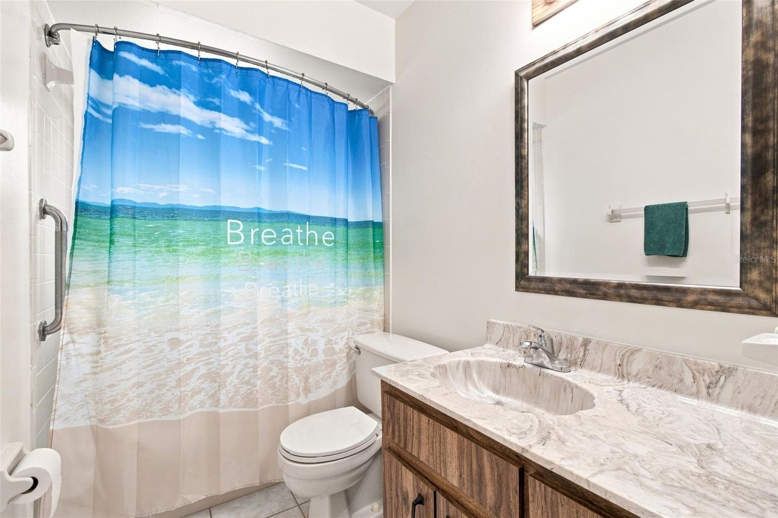 Guest bathroom - 3721 SAND PEBBLE DR, VALRICO