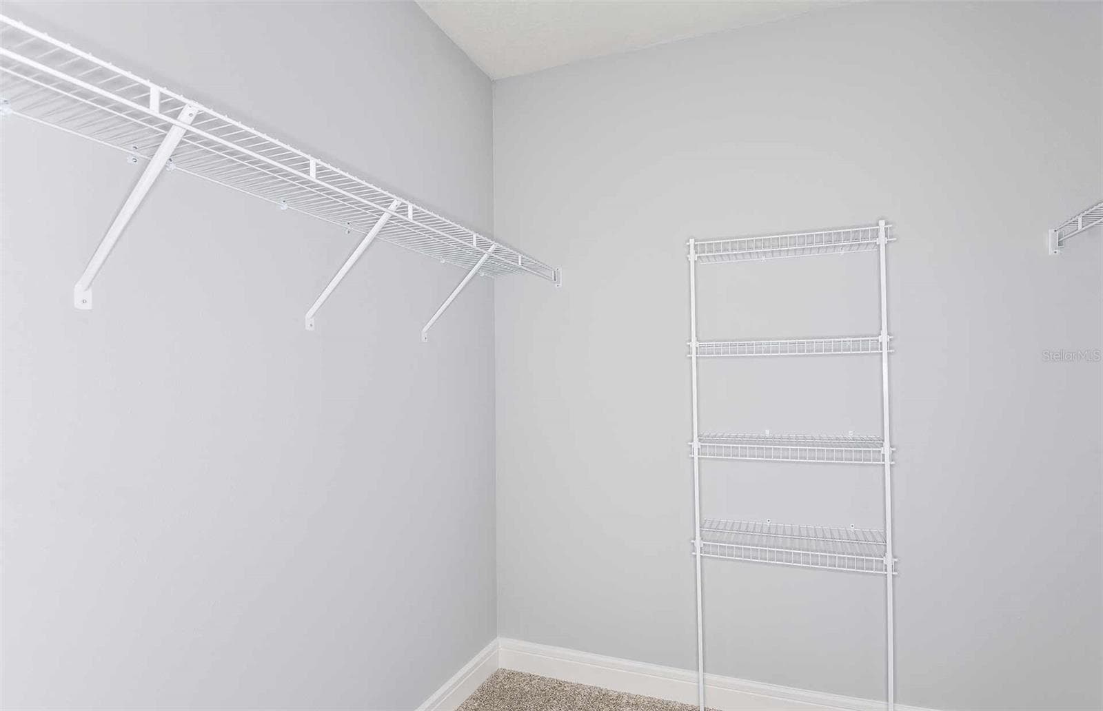Model Representation - 12817 BLUE REFLECTION AVE, PARRISH