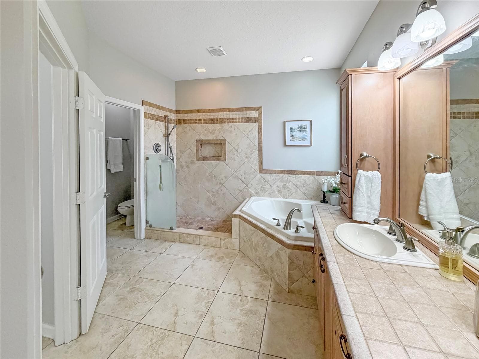 Single Family Residence at 10172 WINDERMERE CHASE BLVD, GOTHA, photo 51 of 89