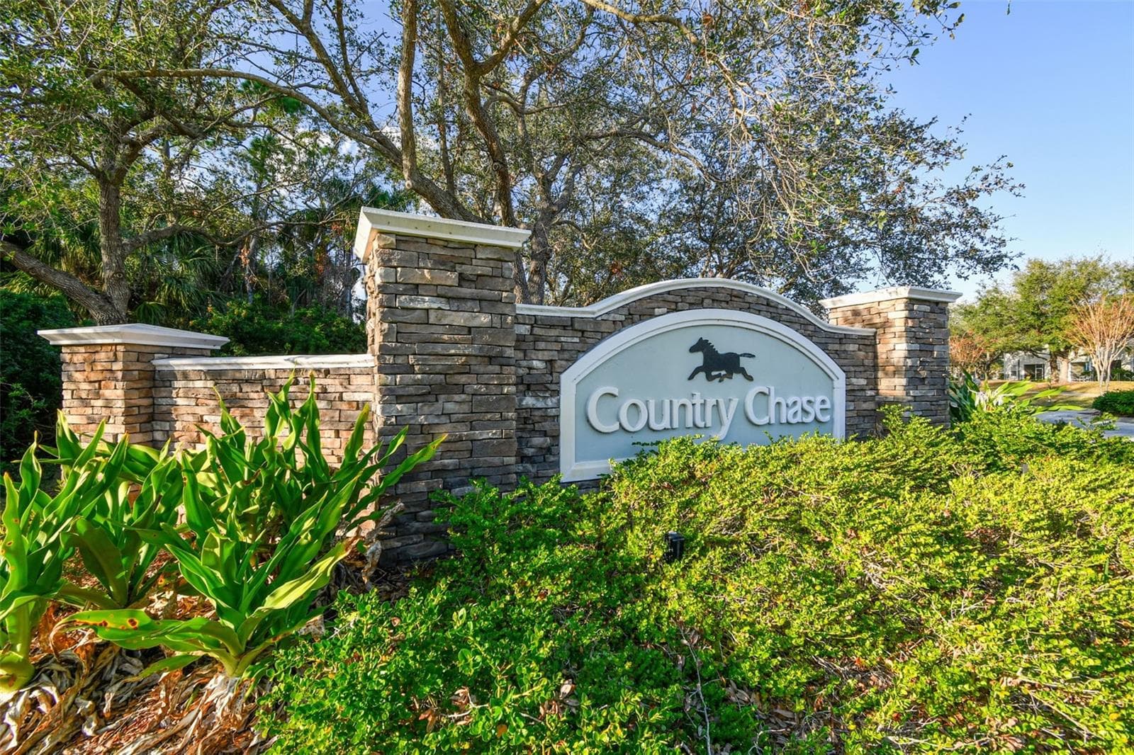 Townhouse at 12225 COUNTRY WHITE CIR, TAMPA, photo 75 of 77