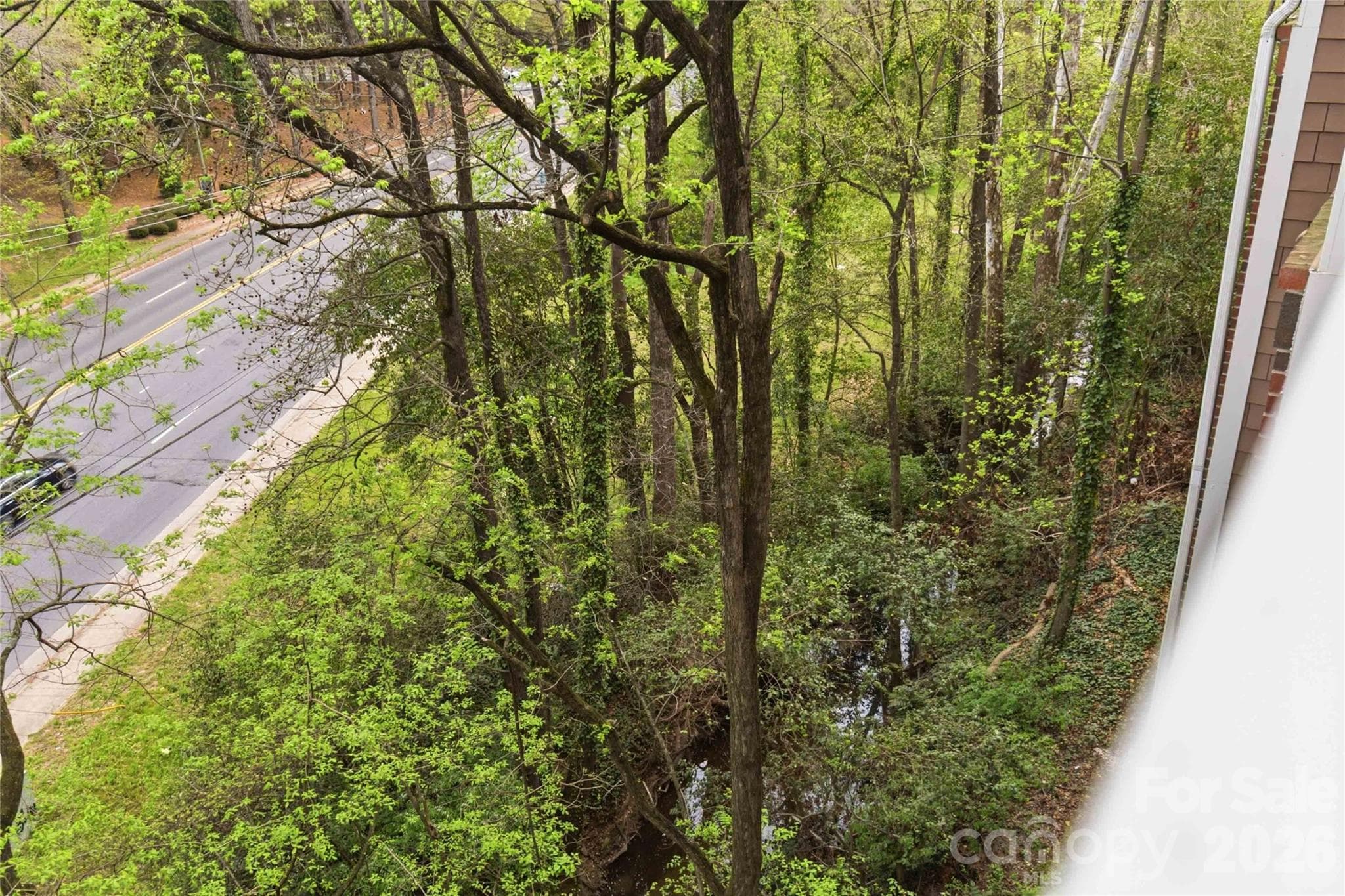 Private, wooded view from the balcony - 1000 E Woodlawn Road, Charlotte