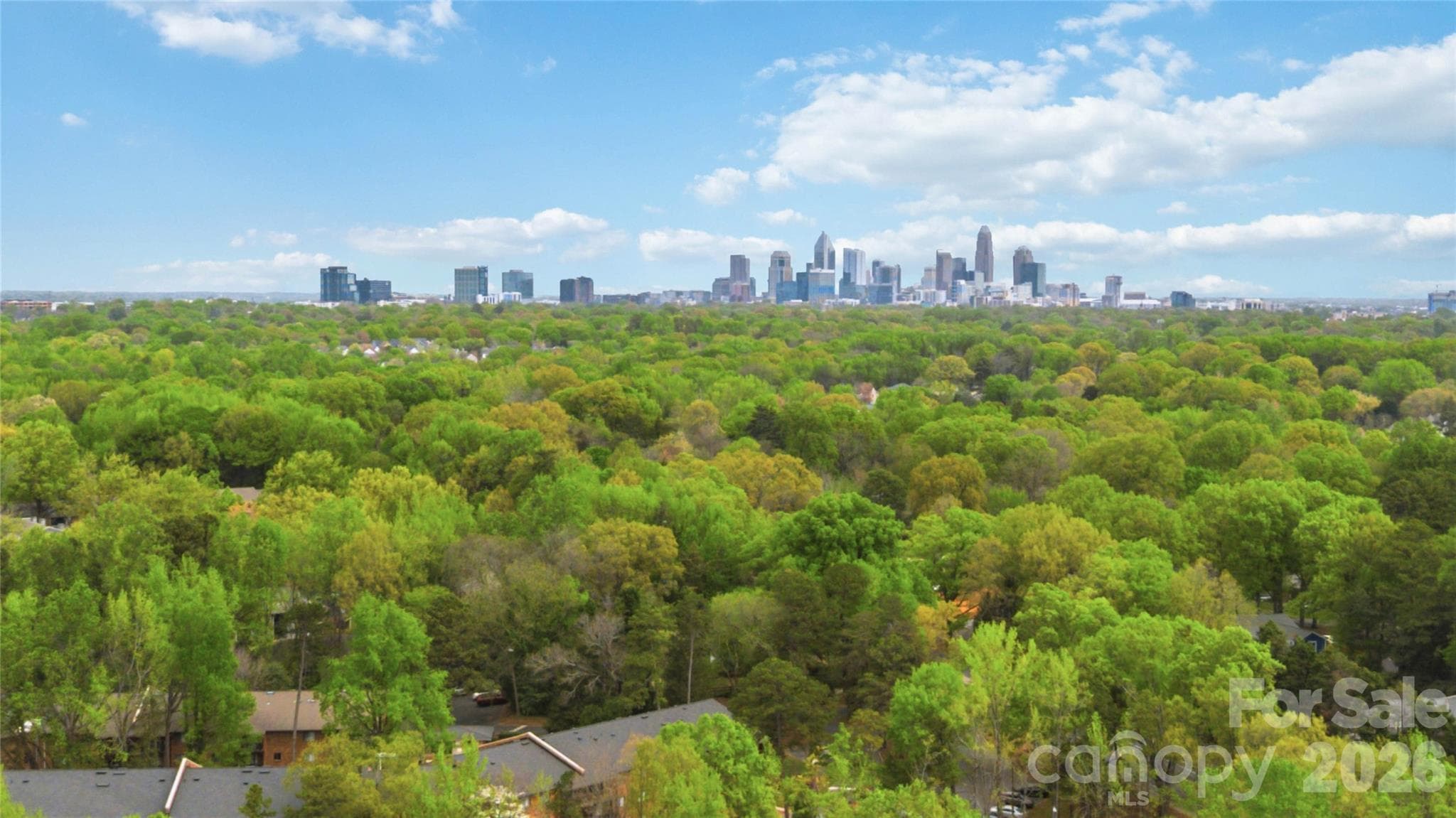 Charlotte skyline from above the building. - 1000 E Woodlawn Road, Charlotte