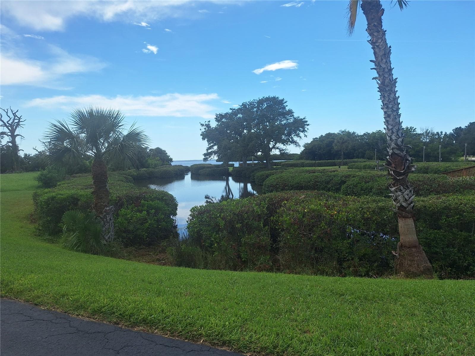 Condominium at 504 S FLORIDA AVE #215, TARPON SPRINGS, photo 26 of 31