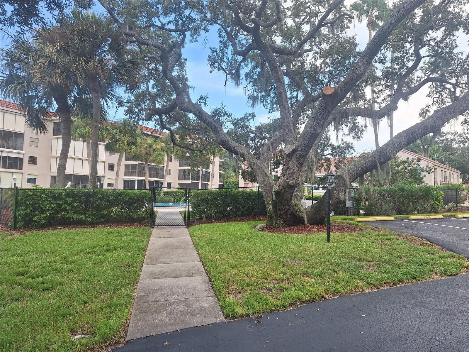 Condominium at 504 S FLORIDA AVE #215, TARPON SPRINGS, photo 28 of 31