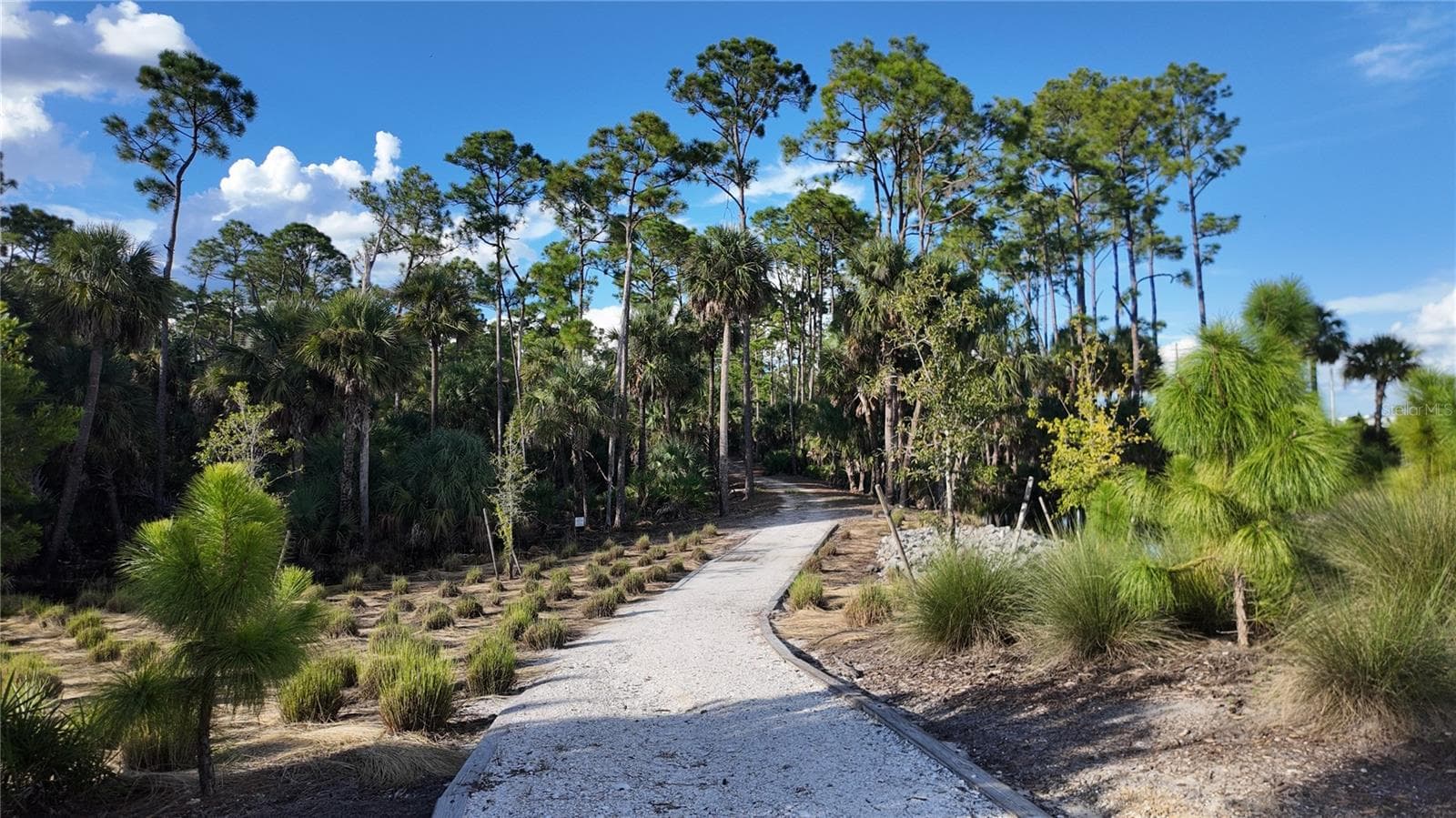 Babcock Ranch  Nature Trail - 43047 PARKSIDE CT, PUNTA GORDA