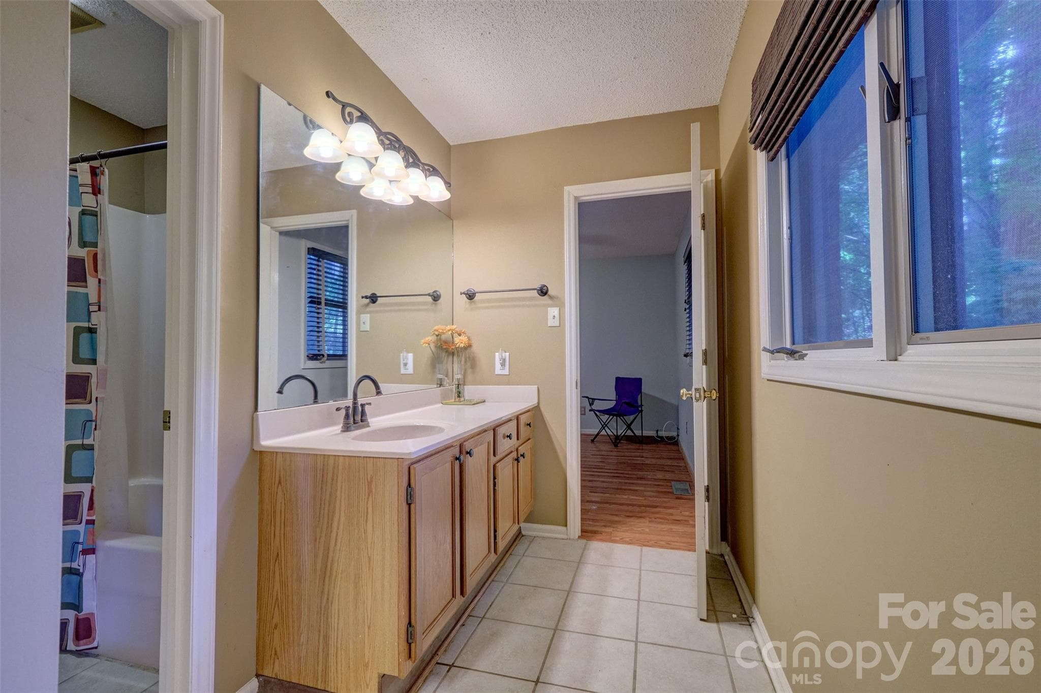 Single Family Residence at 9 Cove Road, Lake Wylie, photo 24 of 48