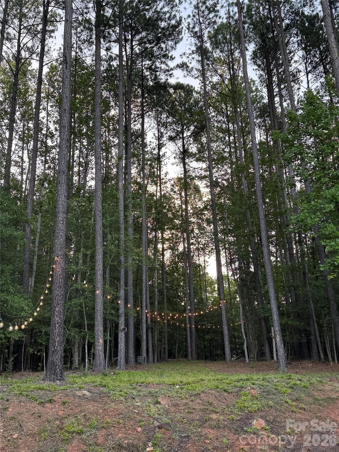 Backyard Visitors/View - 607 Winter Walk Lane, Lake Wylie
