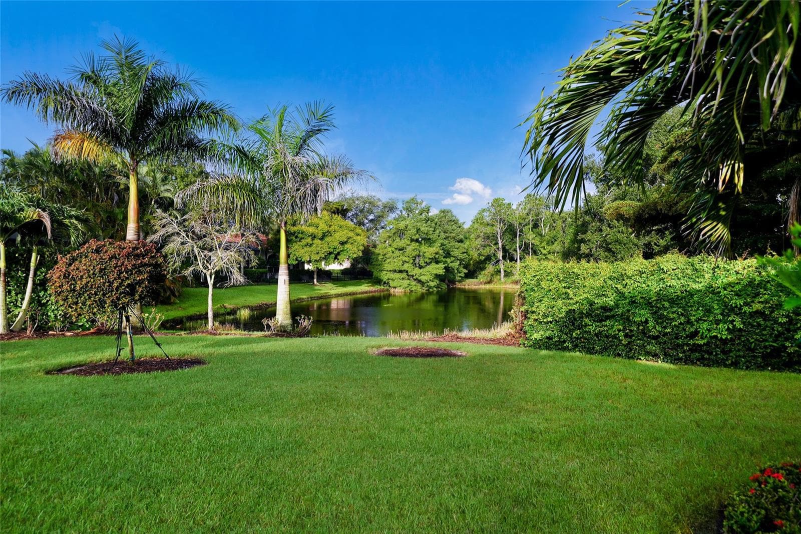 Fencing is permitted in this lake front lot in Lakewood Ranch Country Club - 8122 LONE TREE GLN, LAKEWOOD RANCH