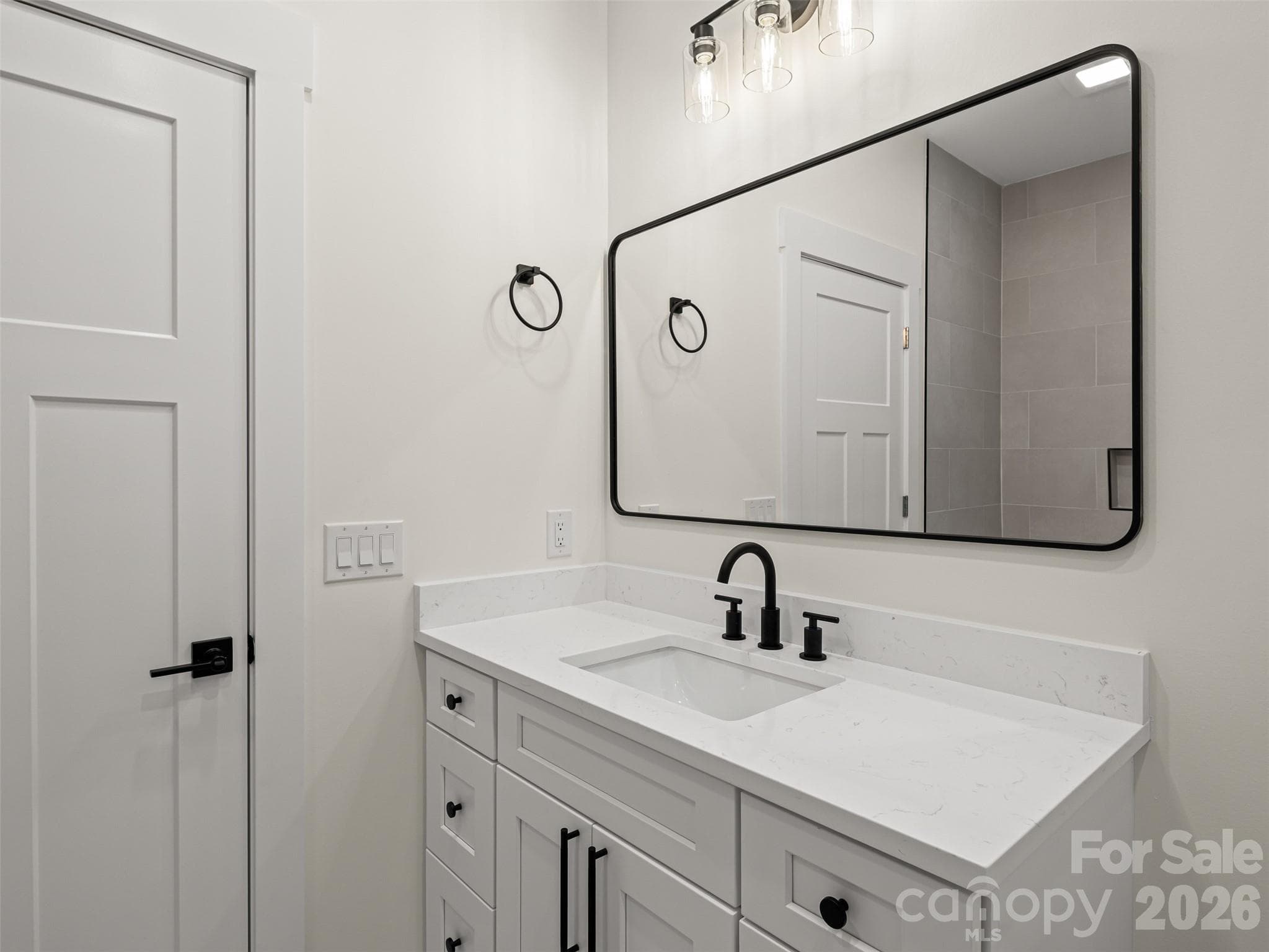 Single Family Residence at 129 Quiet Woods Drive, Leicester, photo 37 of 48