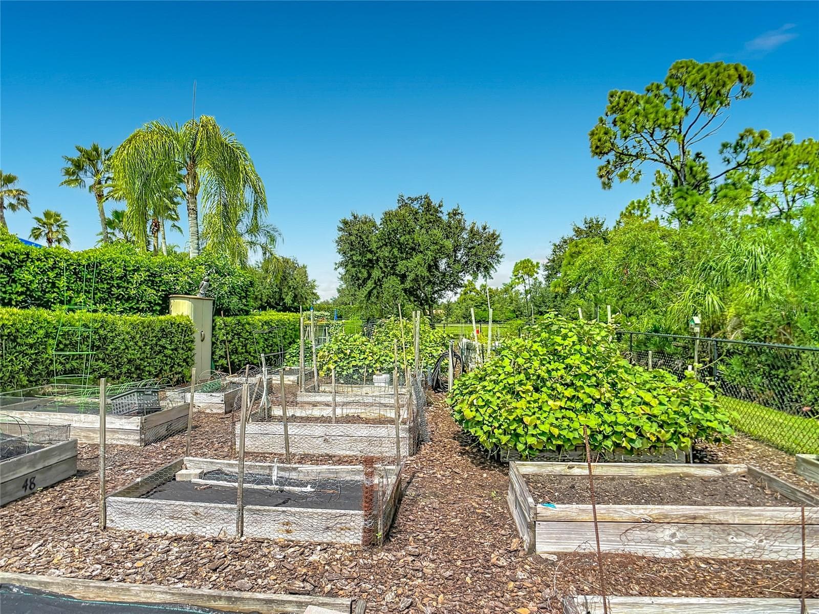 Community Garden - 2590 OSWEGO DR, NORTH PORT