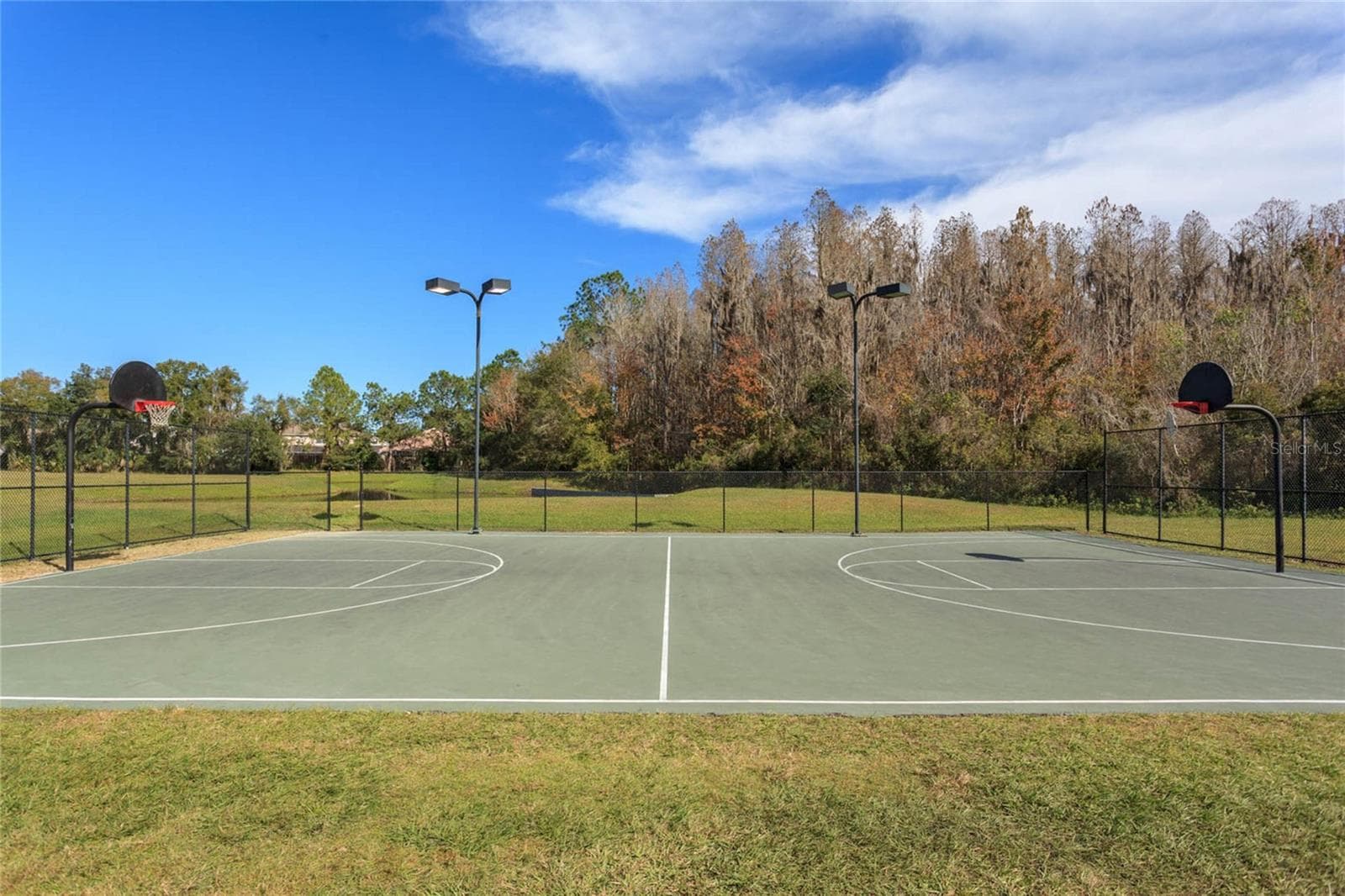 Basketball courts - 18018 JAVA ISLE DR, TAMPA