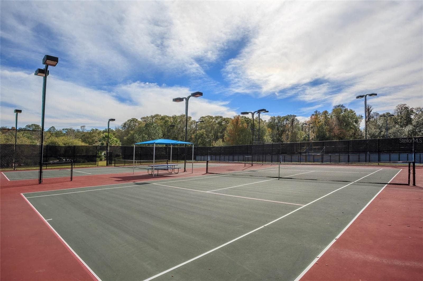 Tennis courts - 18018 JAVA ISLE DR, TAMPA