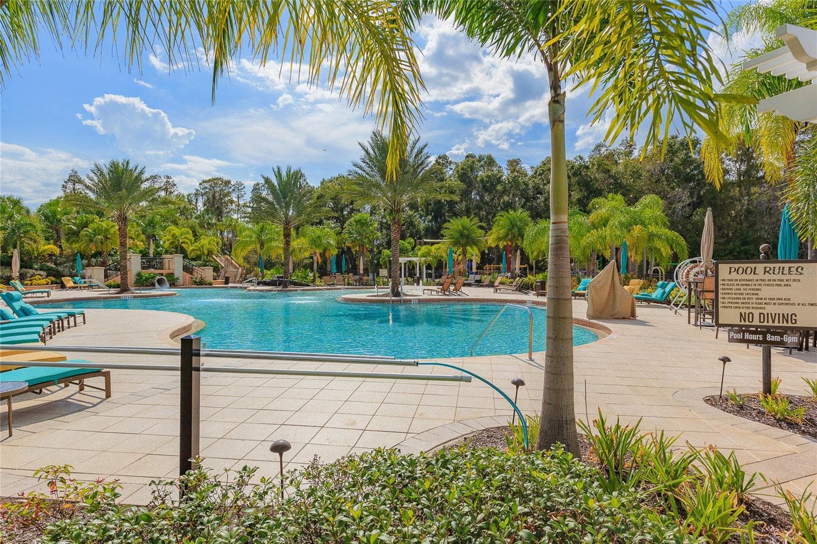 Community pool - 18018 JAVA ISLE DR, TAMPA