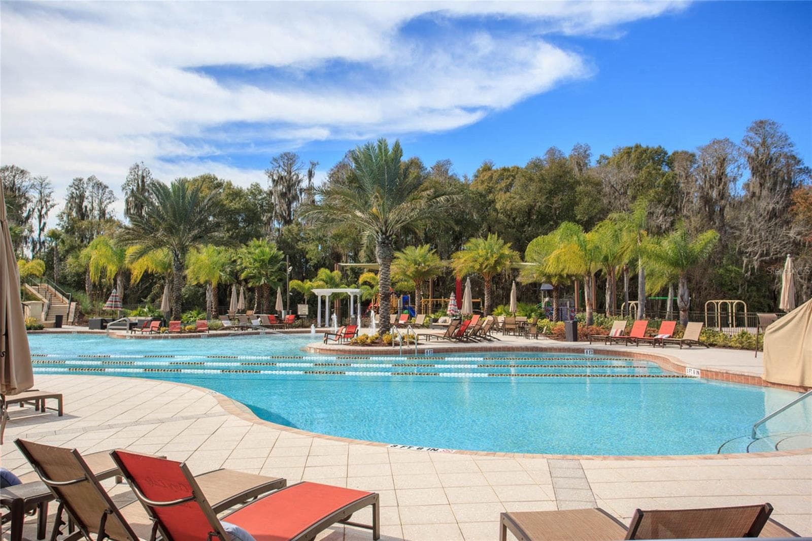 Lap pool - 18018 JAVA ISLE DR, TAMPA