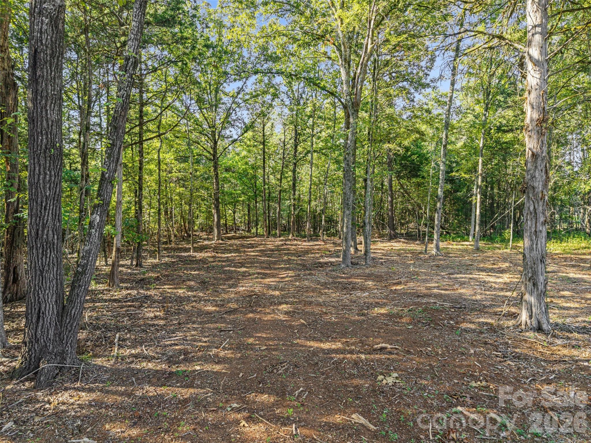 Potential wooded homesite - 0000 Pathway Lane, Chester