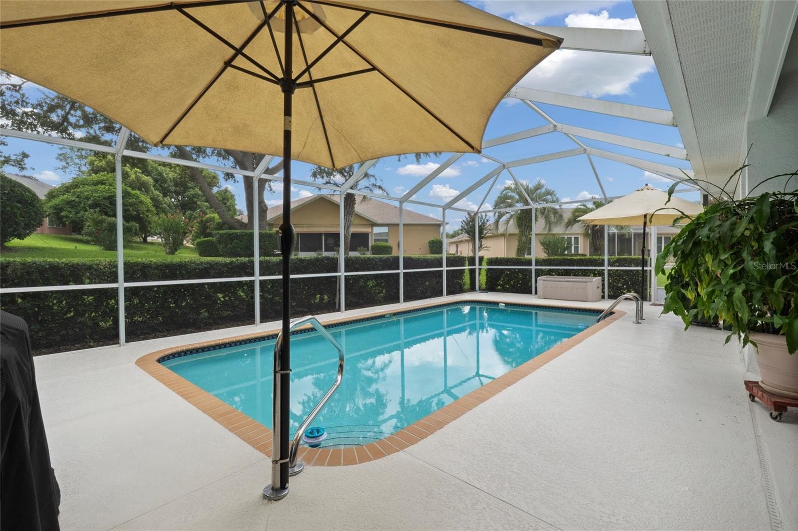 Pool - 365 W BARCLAY CT, BEVERLY HILLS