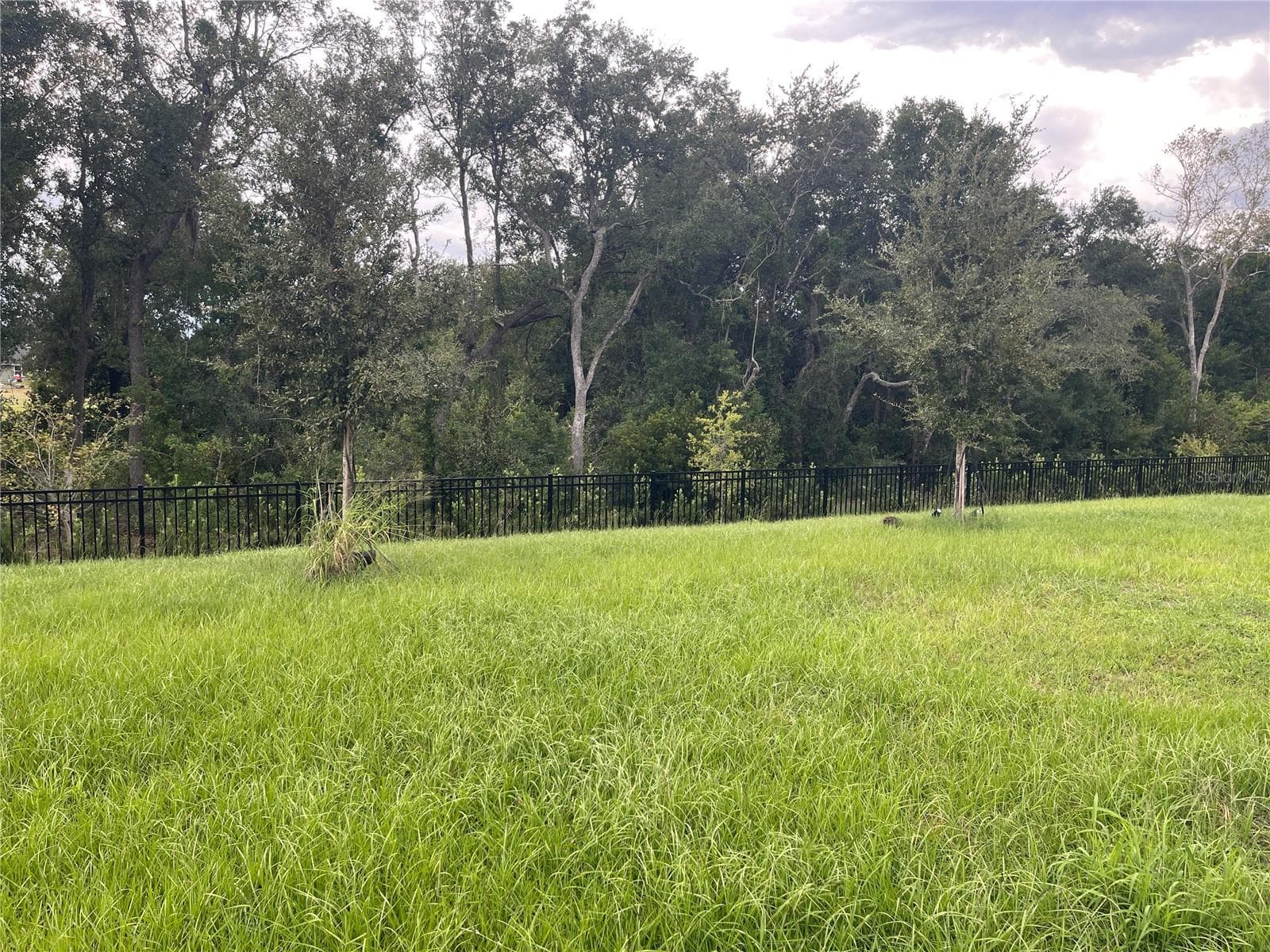 Back Yard - 2994 GAVIN SKY DR, KISSIMMEE