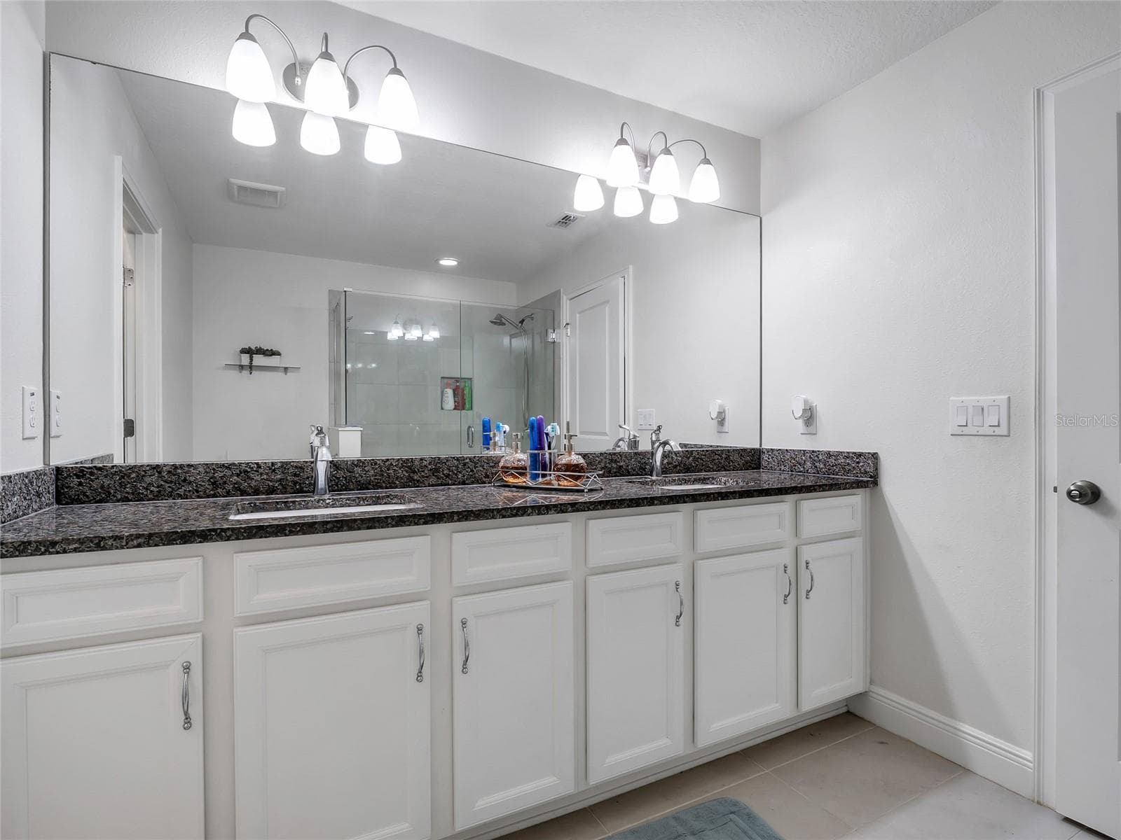 Primary Bathroom - 14309 PONDHAWK LN, TAMPA