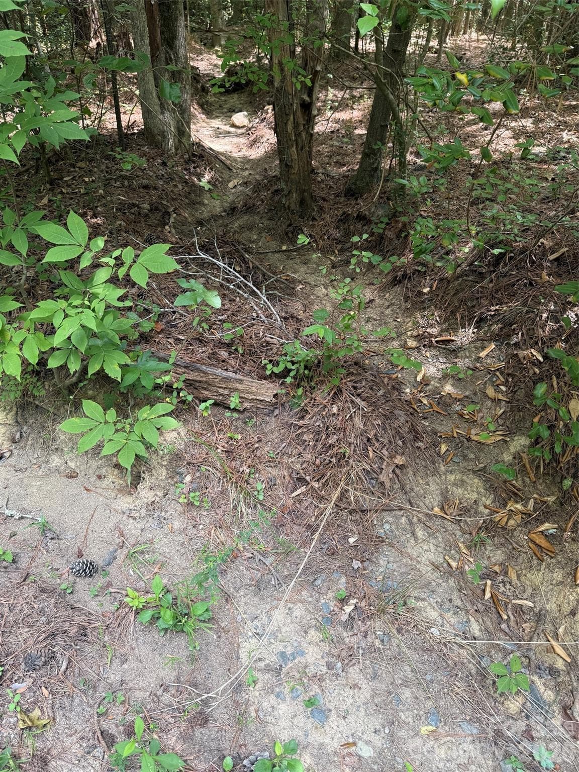 Lot at 0 Blackwell Street, Mount Gilead, photo 2 of 6