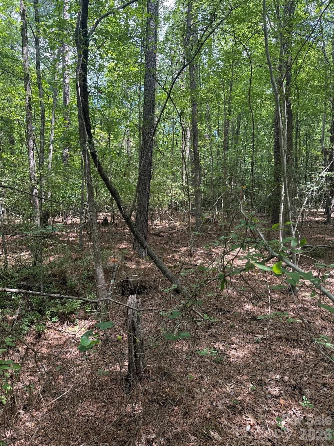 Lot at 0 Blackwell Street, Mount Gilead, photo 3 of 6
