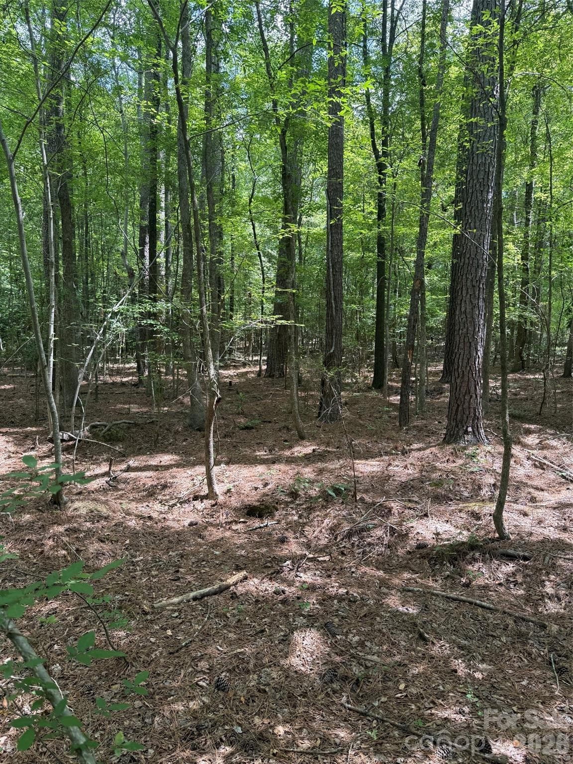 Lot at 0 Blackwell Street, Mount Gilead, photo 4 of 6