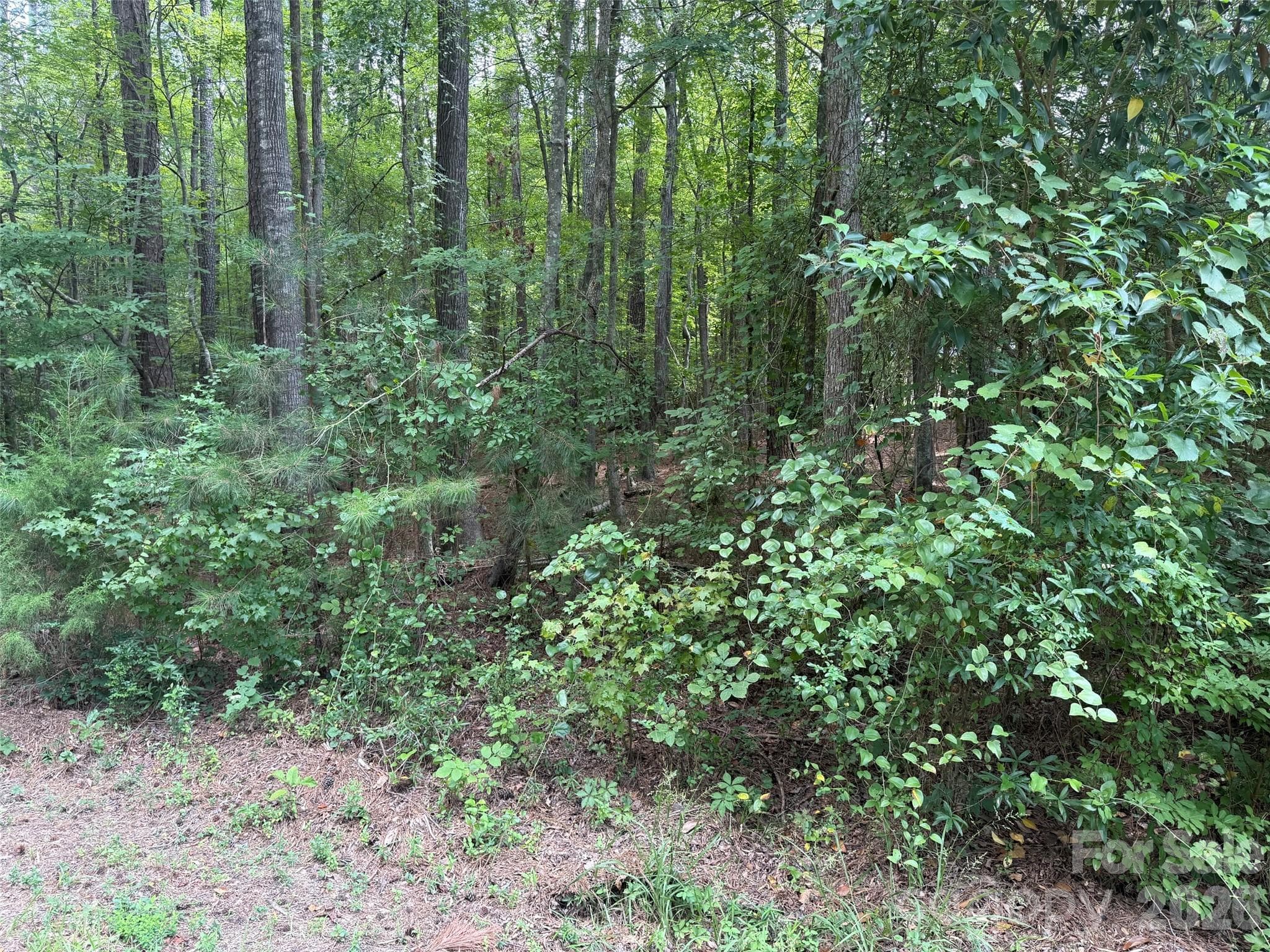 Lot at 0 Blackwell Street, Mount Gilead, photo 5 of 6