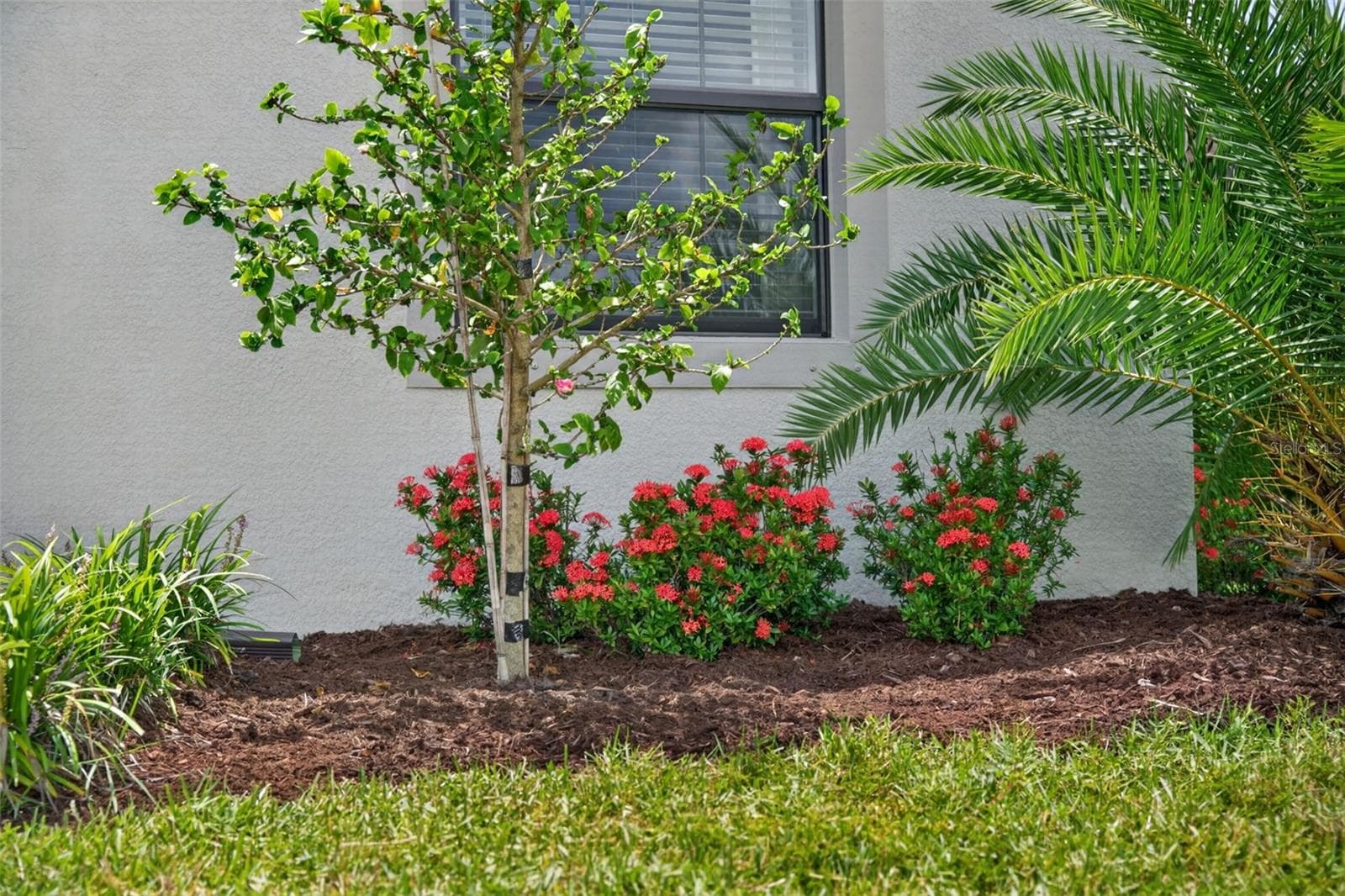 Single Family Residence at 15126 MISTY WATER XING, BRADENTON, photo 15 of 100