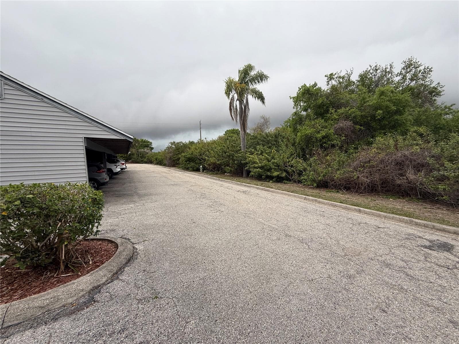 Back View of Green Space by Parking - 259 FENWICK DR #34, VENICE