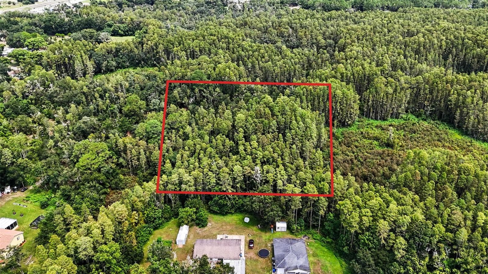 Land at 0 2ND AVE NE, LUTZ, photo 10 of 31
