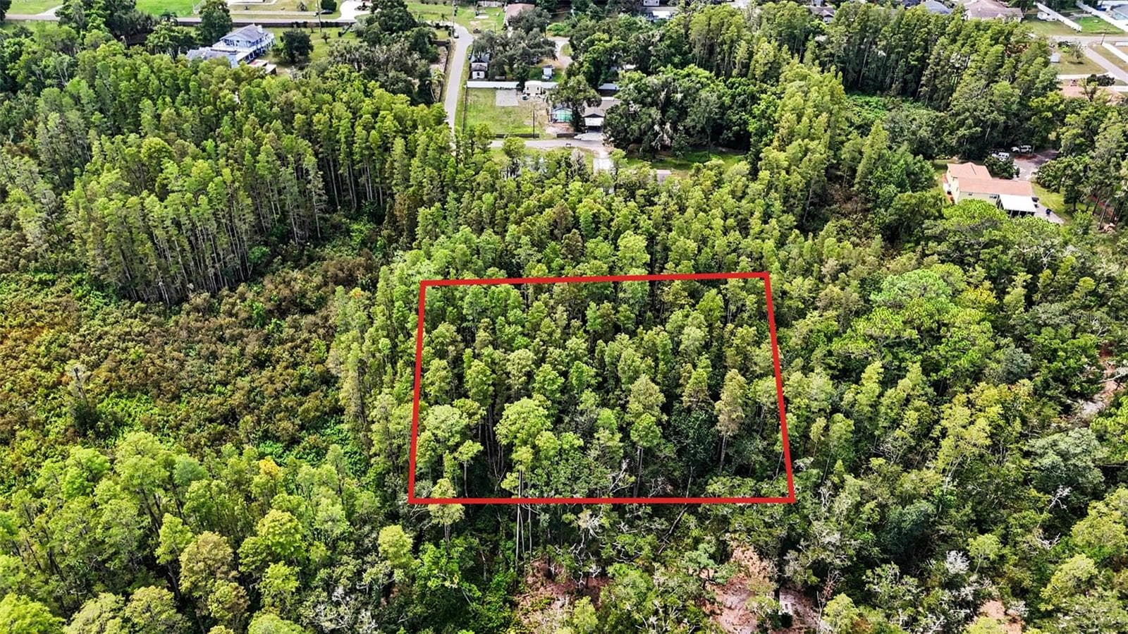 Land at 0 2ND AVE NE, LUTZ, photo 12 of 31