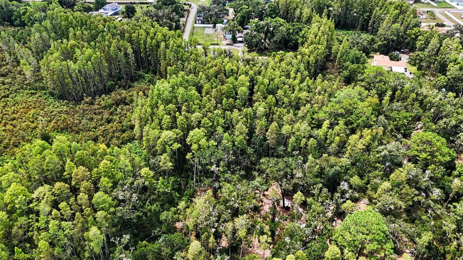 Land at 0 2ND AVE NE, LUTZ, photo 16 of 31
