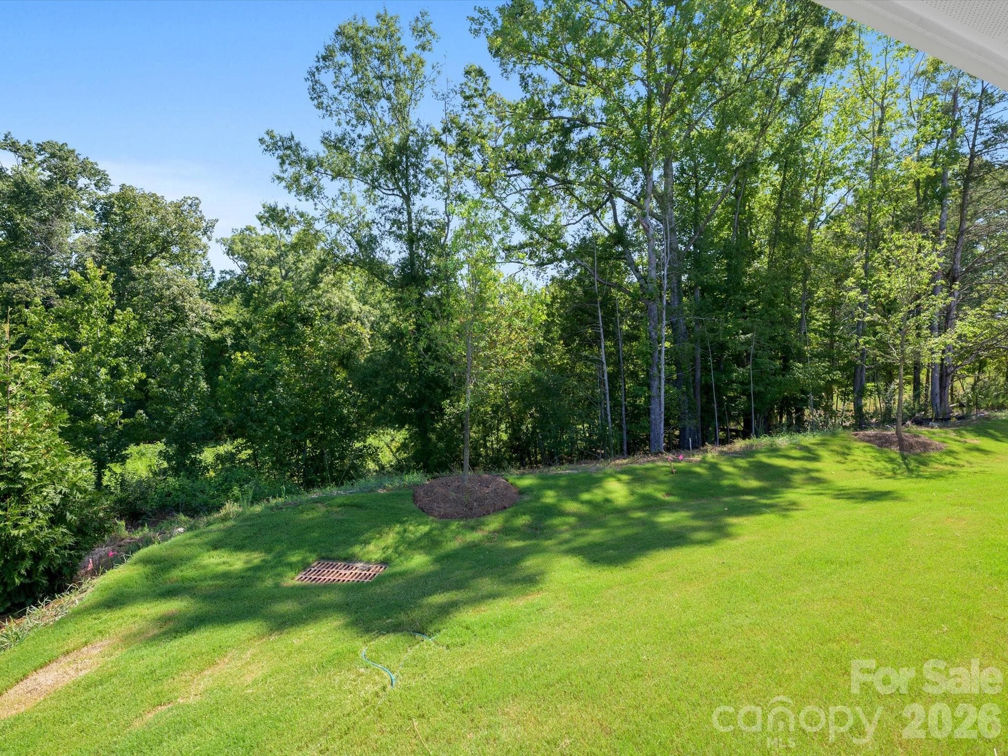 Townhouse at 284 Alluvium Lane, Waxhaw, photo 5 of 38