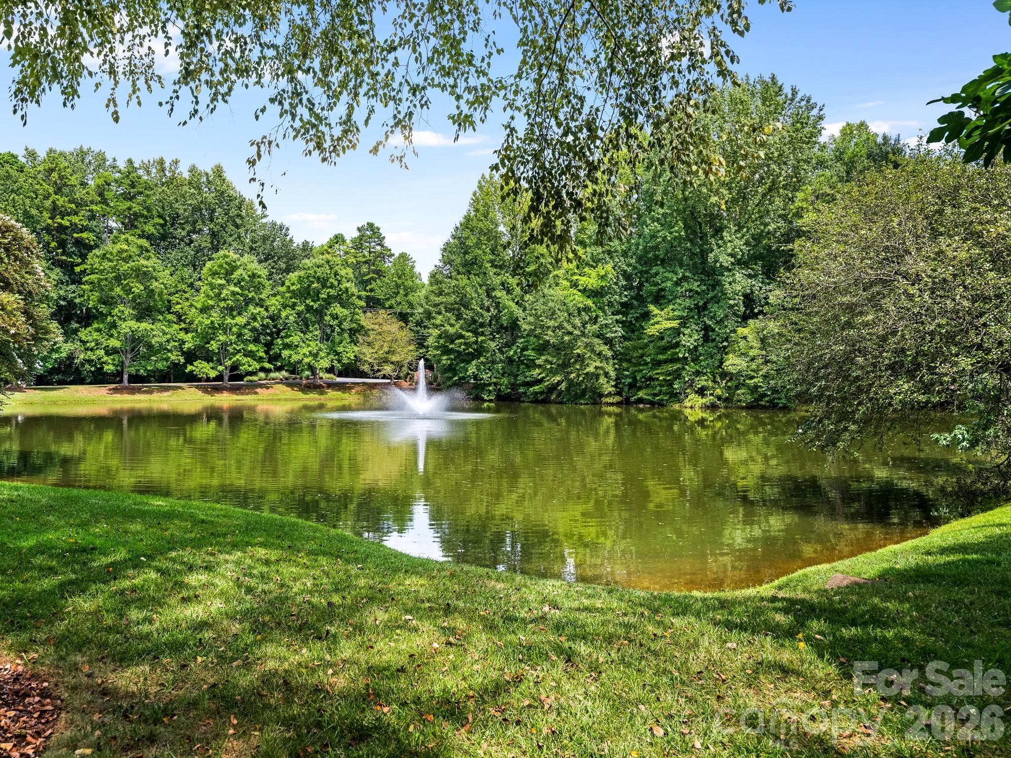 Single Family Residence at 213 Summermore Drive, Charlotte, photo 34 of 34