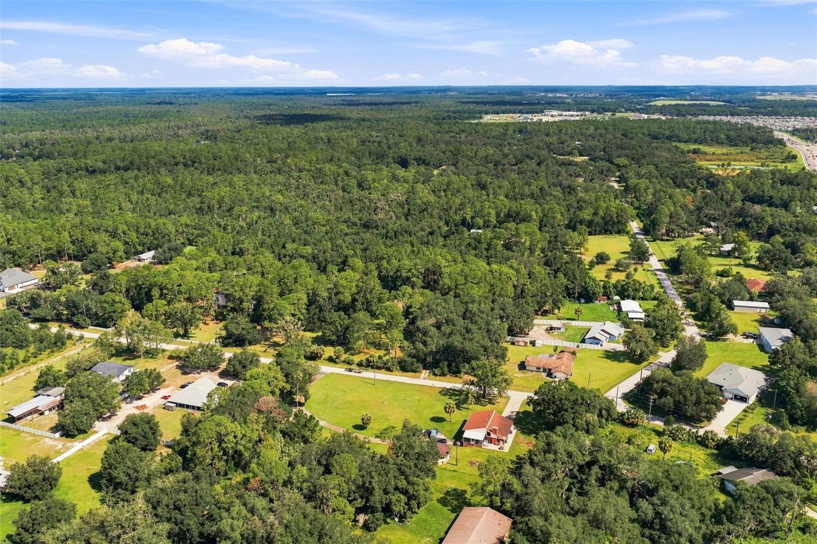 Aerial View - 28850 LINDENHURST DR, WESLEY CHAPEL
