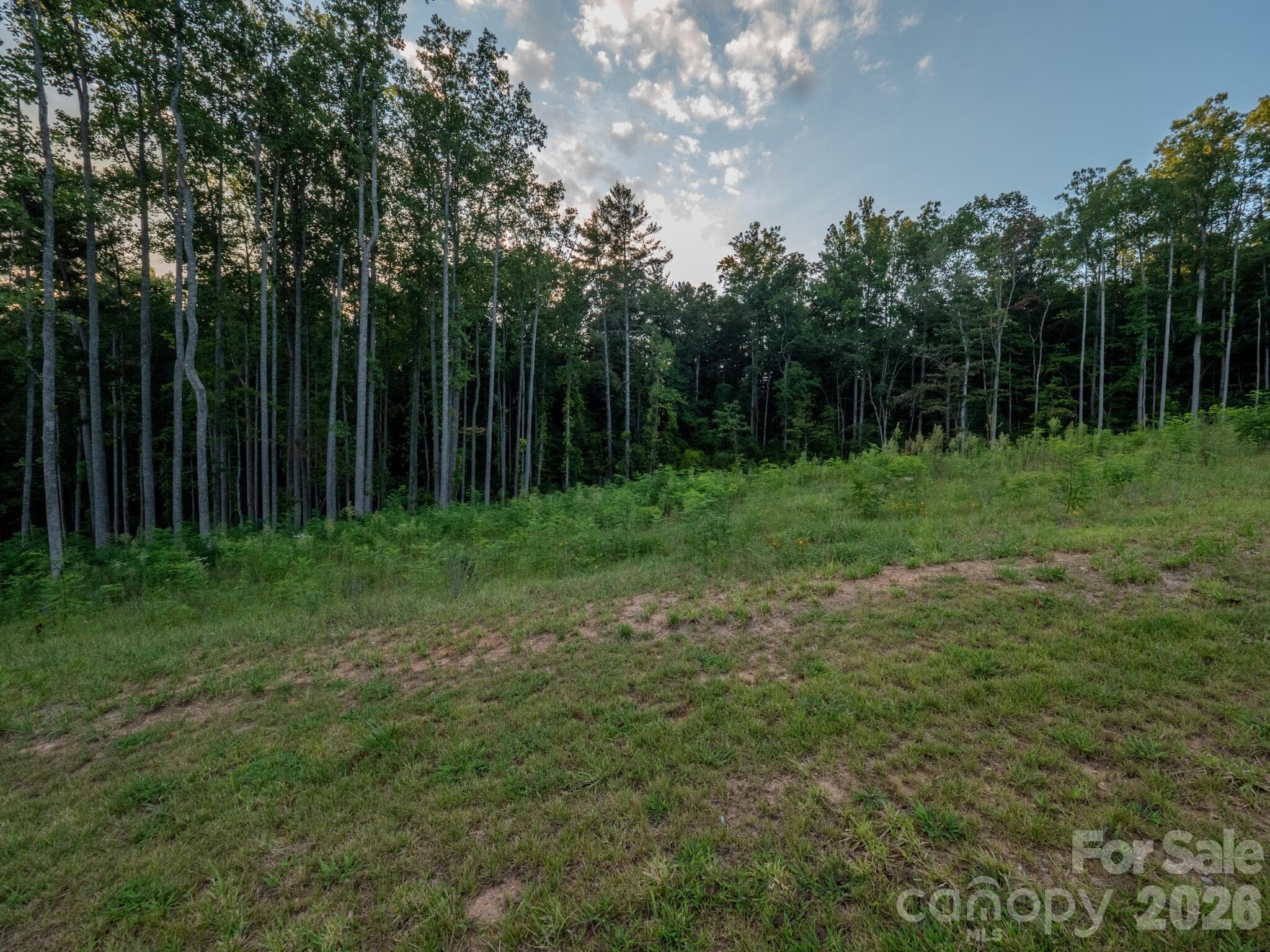 Lot at 432 Irvine Drive, Fairview, photo 2 of 17