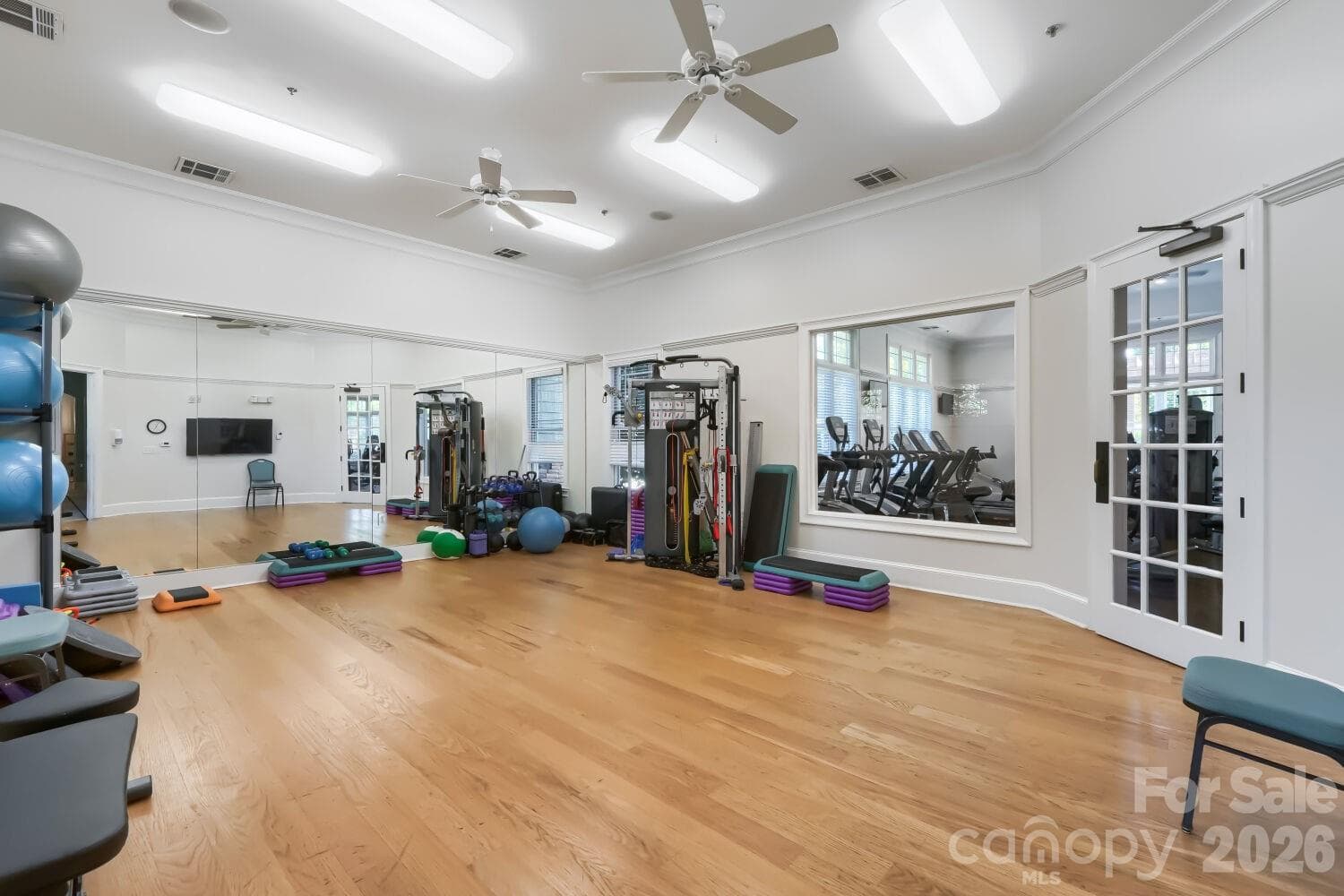 Get the work out done - 18311 Glenealy Drive, Cornelius