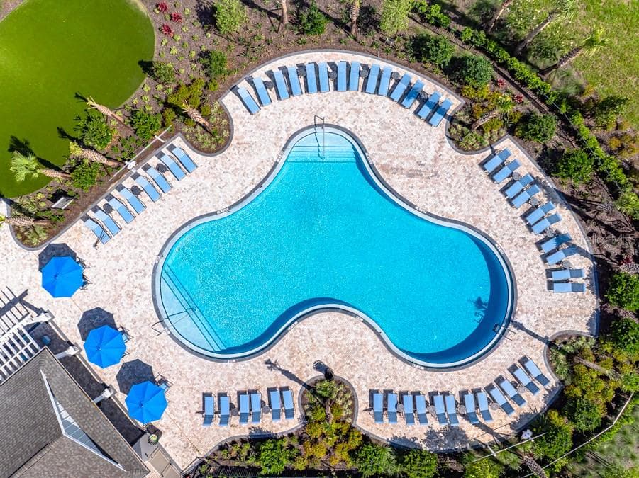Palm Wind Community Amenities - 12206 WISPY CLOUDS WAY, HUDSON