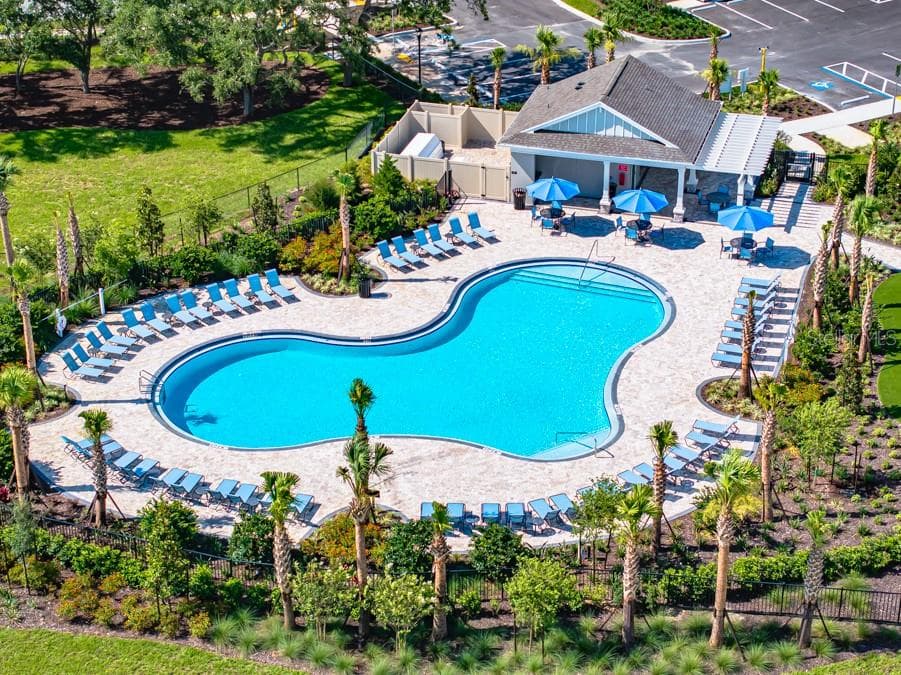 Palm Wind Community Amenities - 12206 WISPY CLOUDS WAY, HUDSON