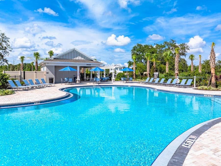 Palm Wind Community Amenities - 12206 WISPY CLOUDS WAY, HUDSON