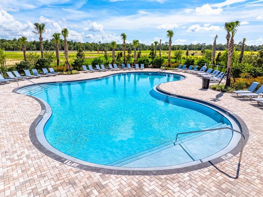 Palm Wind Community Amenities - 12206 WISPY CLOUDS WAY, HUDSON