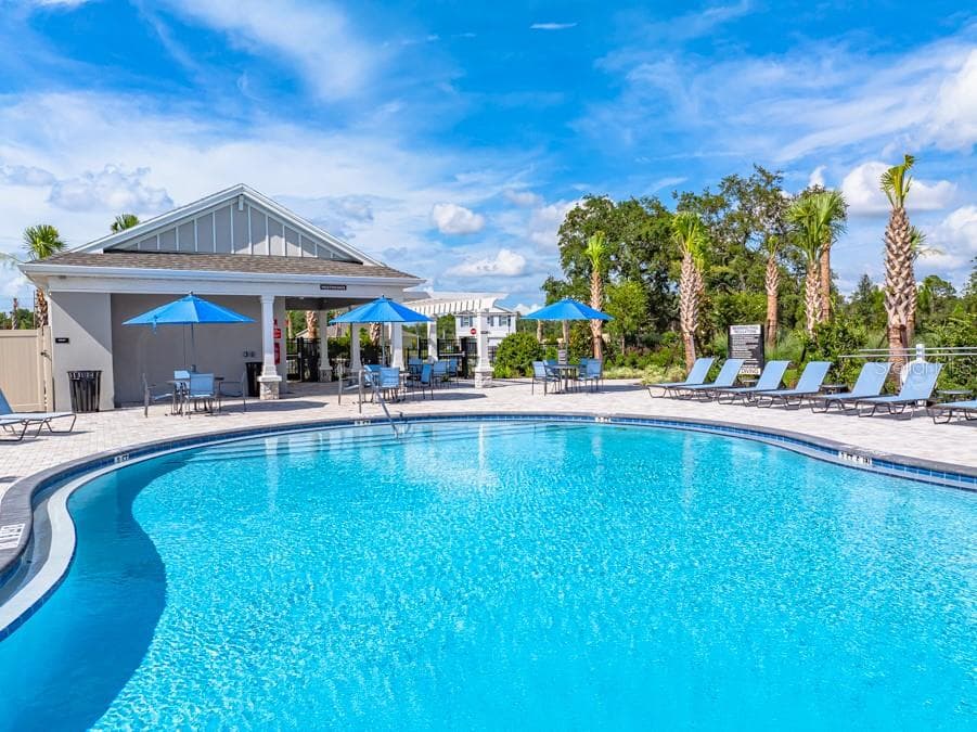 Palm Wind Community Amenities - 12206 WISPY CLOUDS WAY, HUDSON