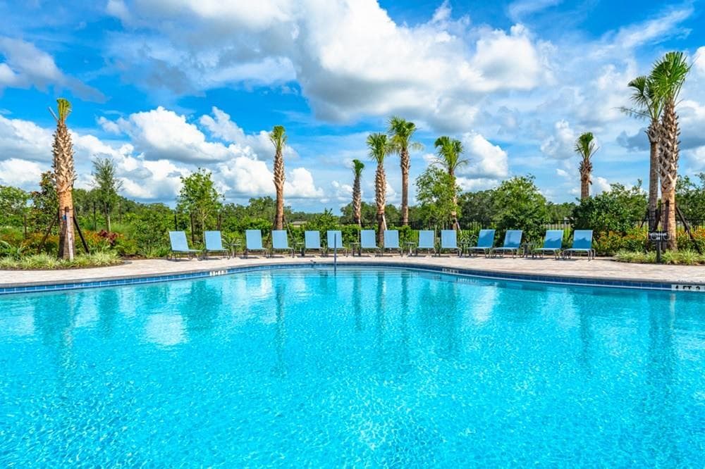 Palm Wind Community Amenities - 12206 WISPY CLOUDS WAY, HUDSON