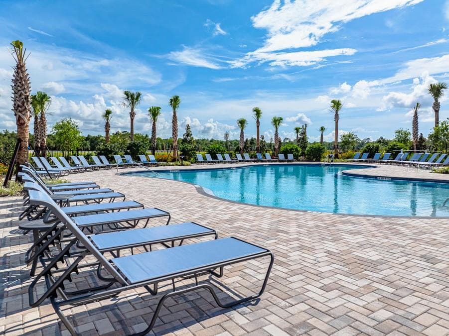 Palm Wind Community Amenities - 12206 WISPY CLOUDS WAY, HUDSON
