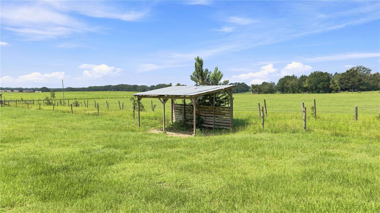 Farm at 22241 NW 6TH ST, DUNNELLON, photo 41 of 54