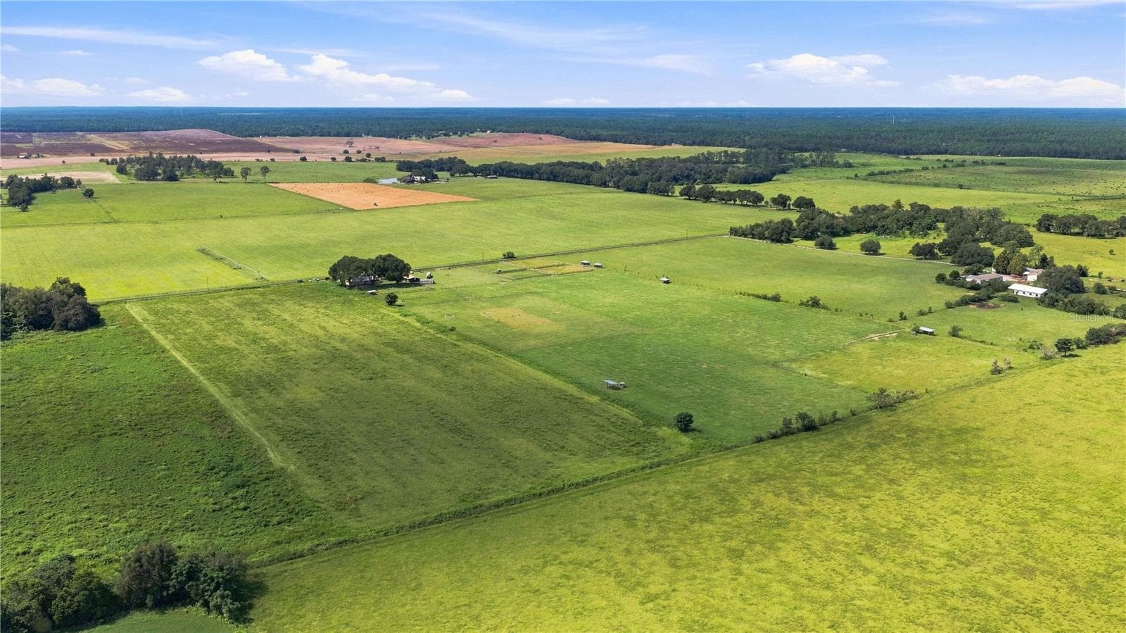 Farm at 22241 NW 6TH ST, DUNNELLON, photo 54 of 54