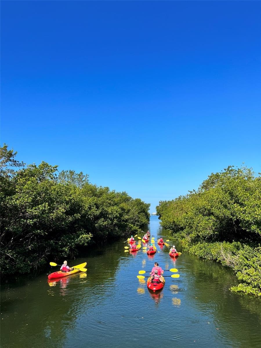 ABOUT 50 YARDS AWAY AT THE BAY PARK - 988 BLVD OF THE ARTS #109, SARASOTA