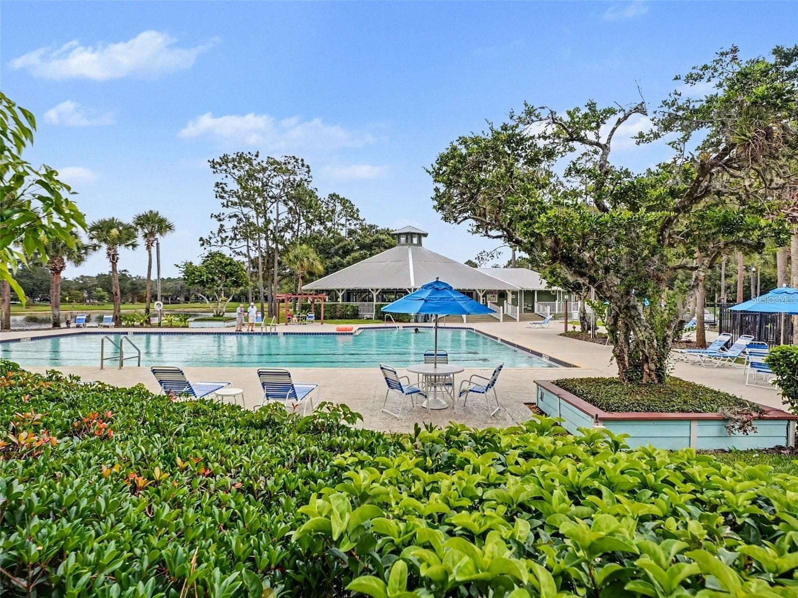 Community pool - 1756 BRANCHWATER TRL, ORLANDO