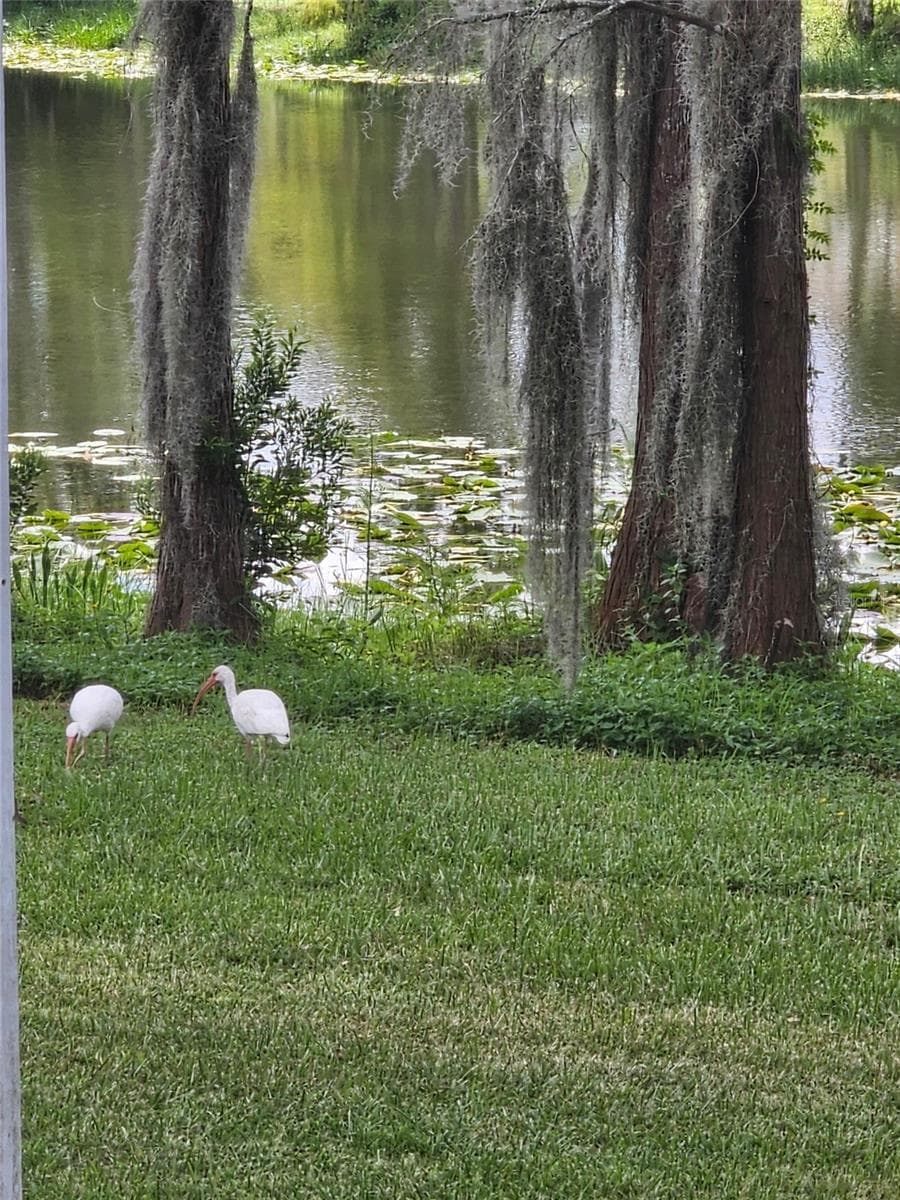 New neighbors - 1756 BRANCHWATER TRL, ORLANDO
