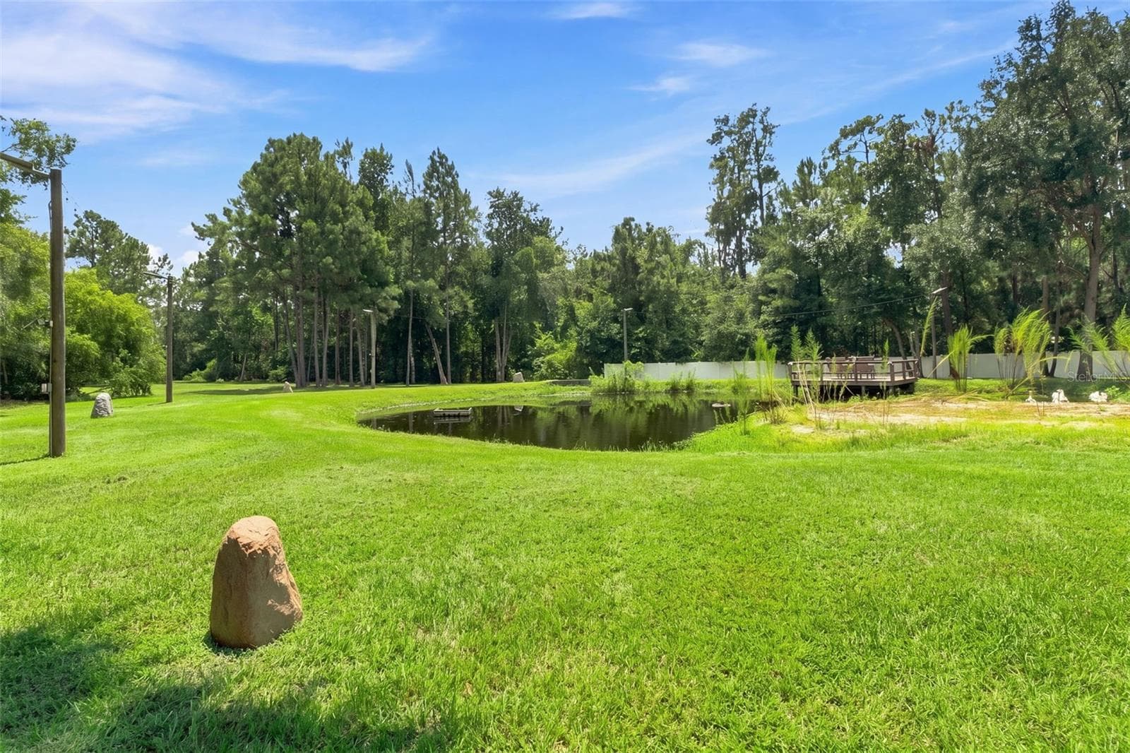 Single Family Residence at 22259 SKYVIEW CIR, BROOKSVILLE, photo 82 of 89